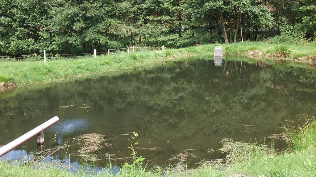 Gottschlich Apartment Schmallenberg Zewnętrze zdjęcie